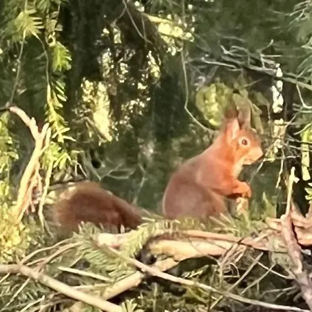 Dom wakacyjny Boshof 7