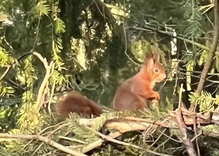 بيت للعطل Boshof 7